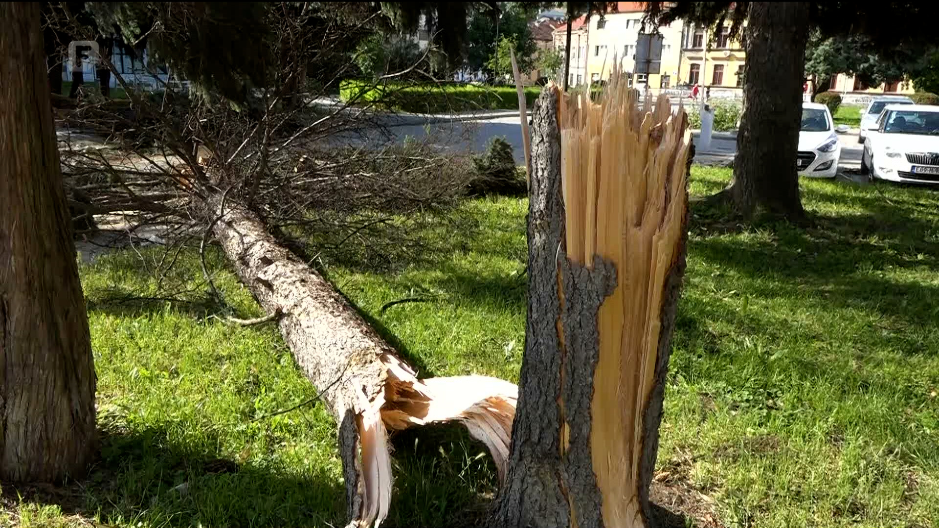 Oštećeni krovovi i automobili, u aleji prema naselju Kalibunar oborena stabla
